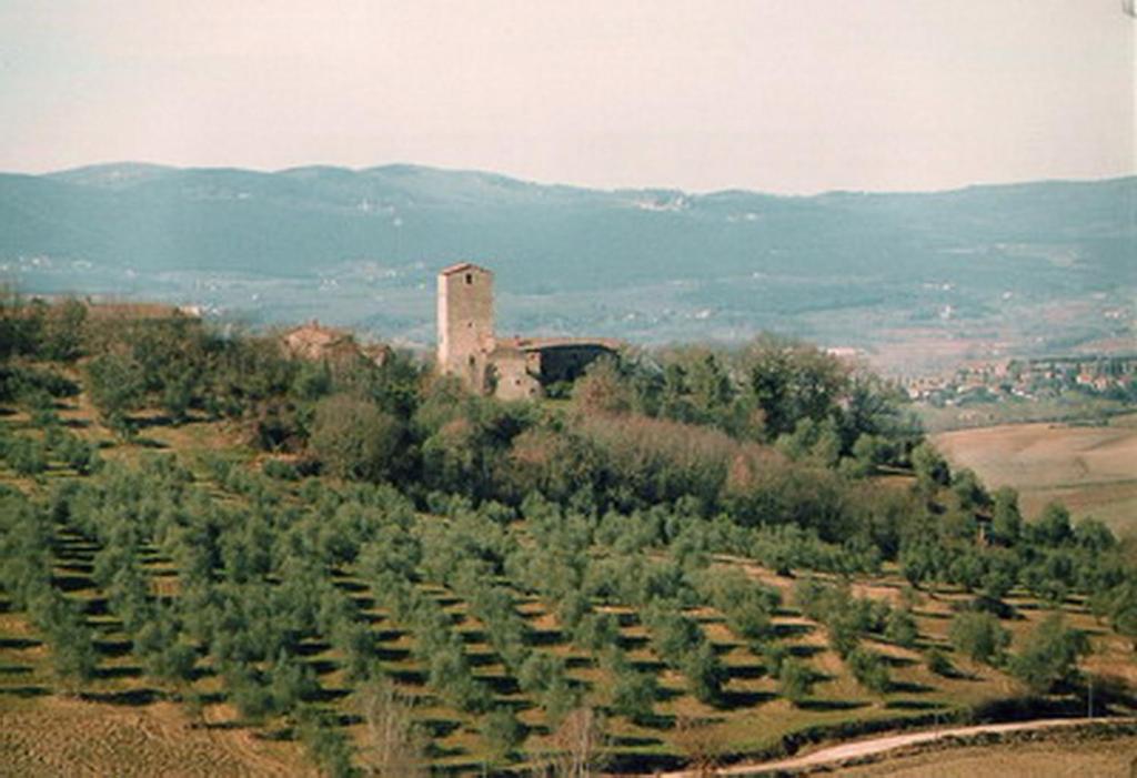 Гостевой дом Castello Di Grotti Корсано Номер фото